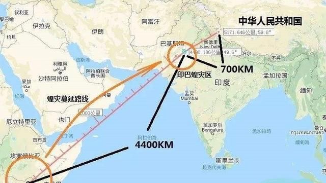 蝗虫来袭!预警:4000亿只蝗虫已到达中国边境图4